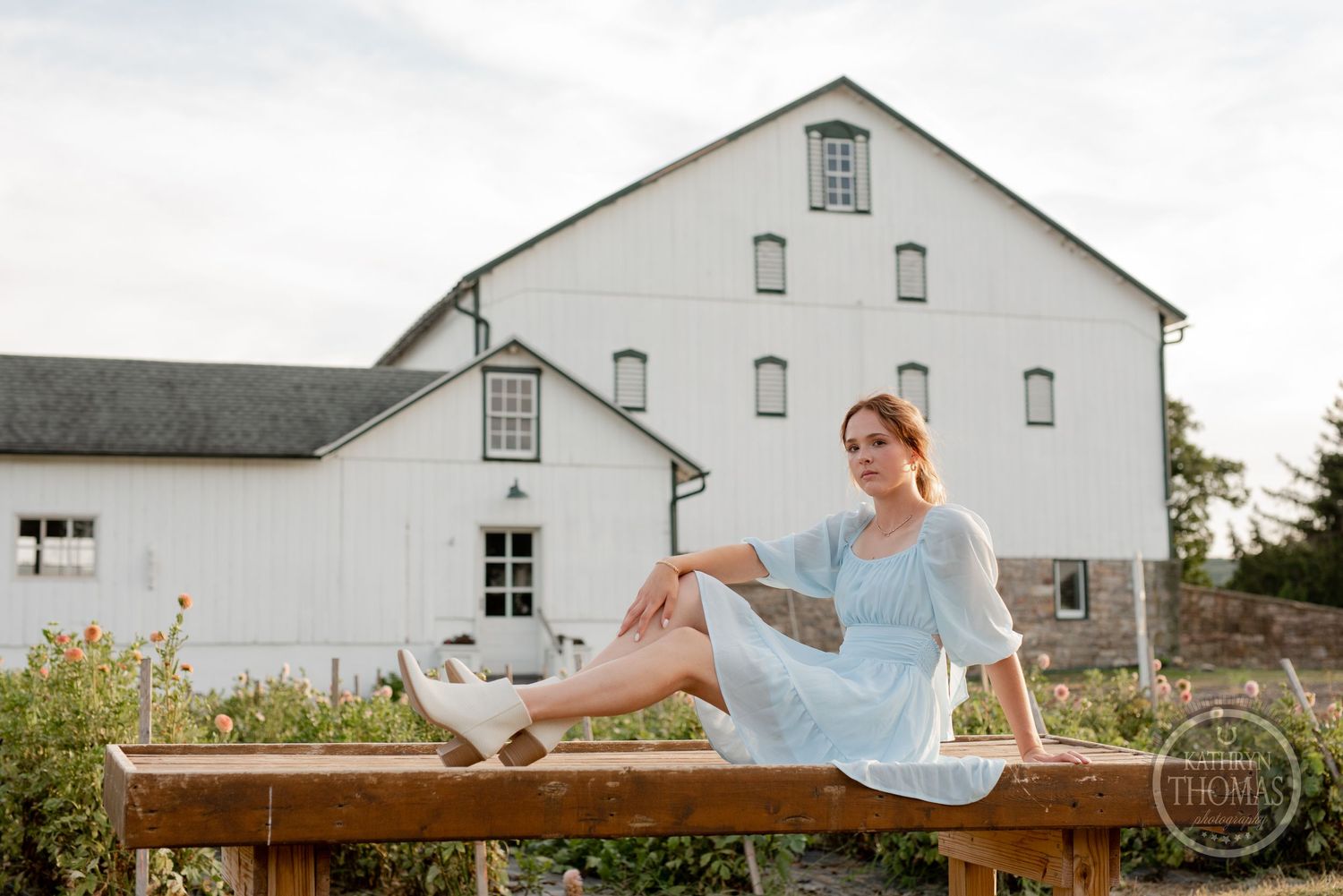 Rustic wooden bench creates perfect perch against historic white barn architecture.