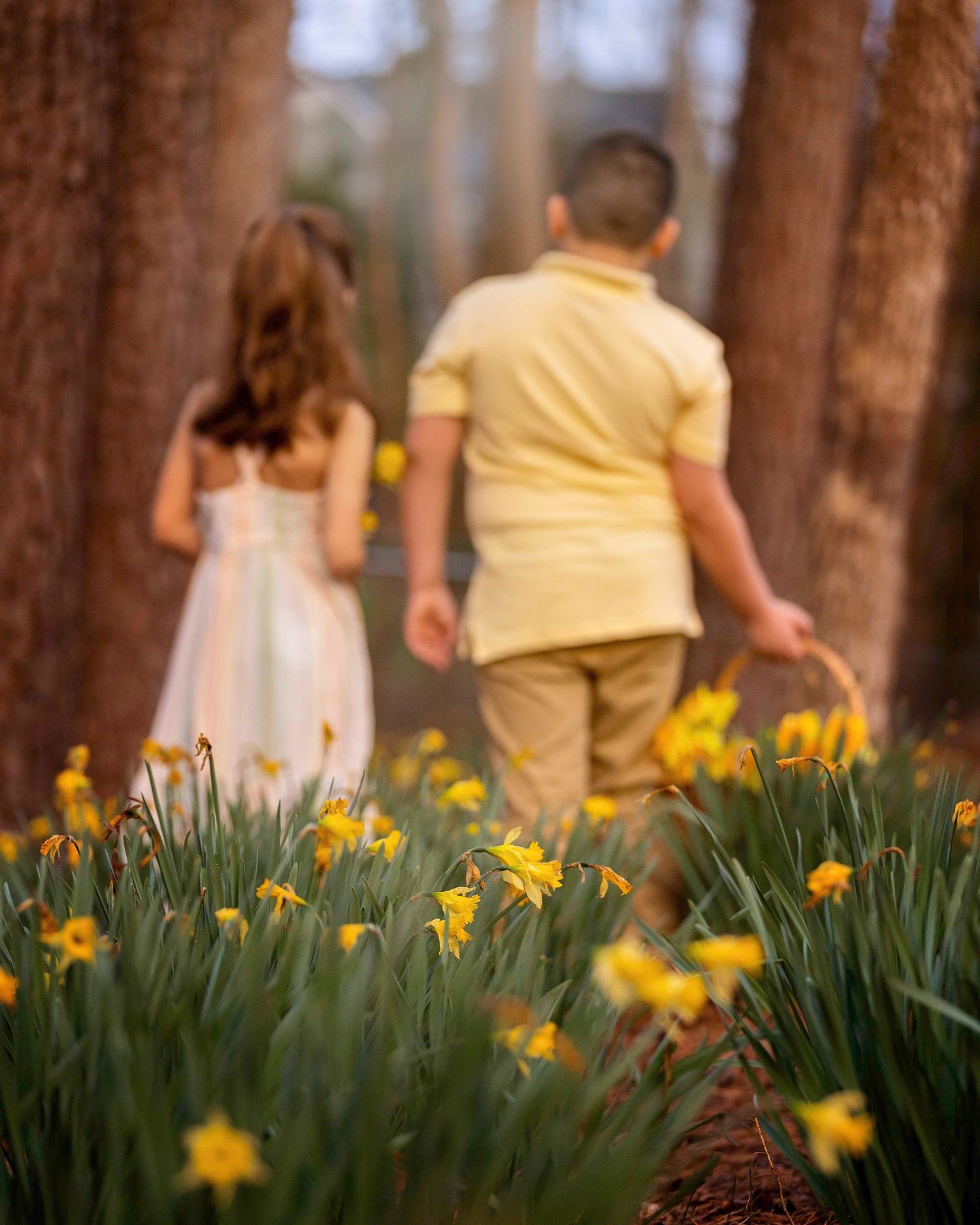 child, kid, babie, niña, smile, niño, sibiling, bebes, nene, Alpharetta, hermano, hermana, beba, children, infant, toddler, brother, family