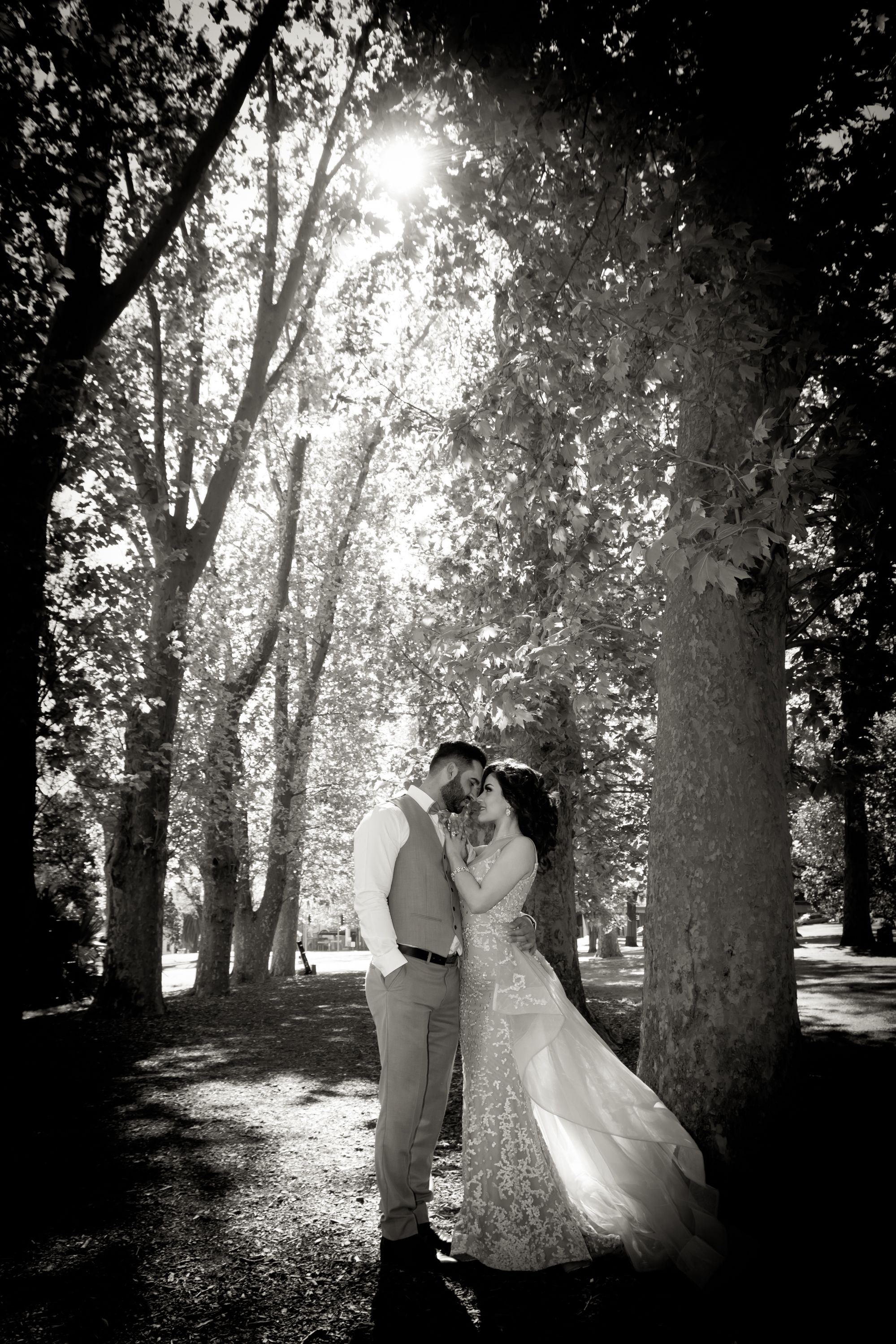 Black and white wedding portrait with sunlight streaming through trees behind the couple.