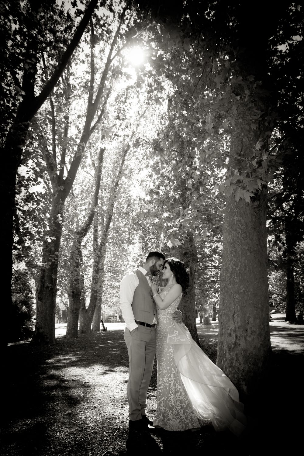 Black and white wedding portrait with sunlight streaming through trees behind the couple.