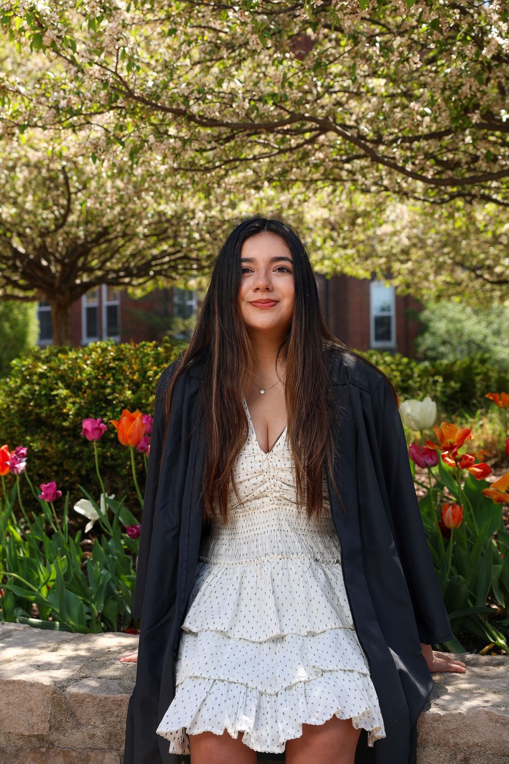 Graduation photoshoot under blooming cherry blossom trees with colorful tulips.