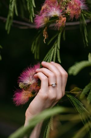 A hand wearing an engagement ring reaches toward pink mimosa silk tree flowers in a garden setting.