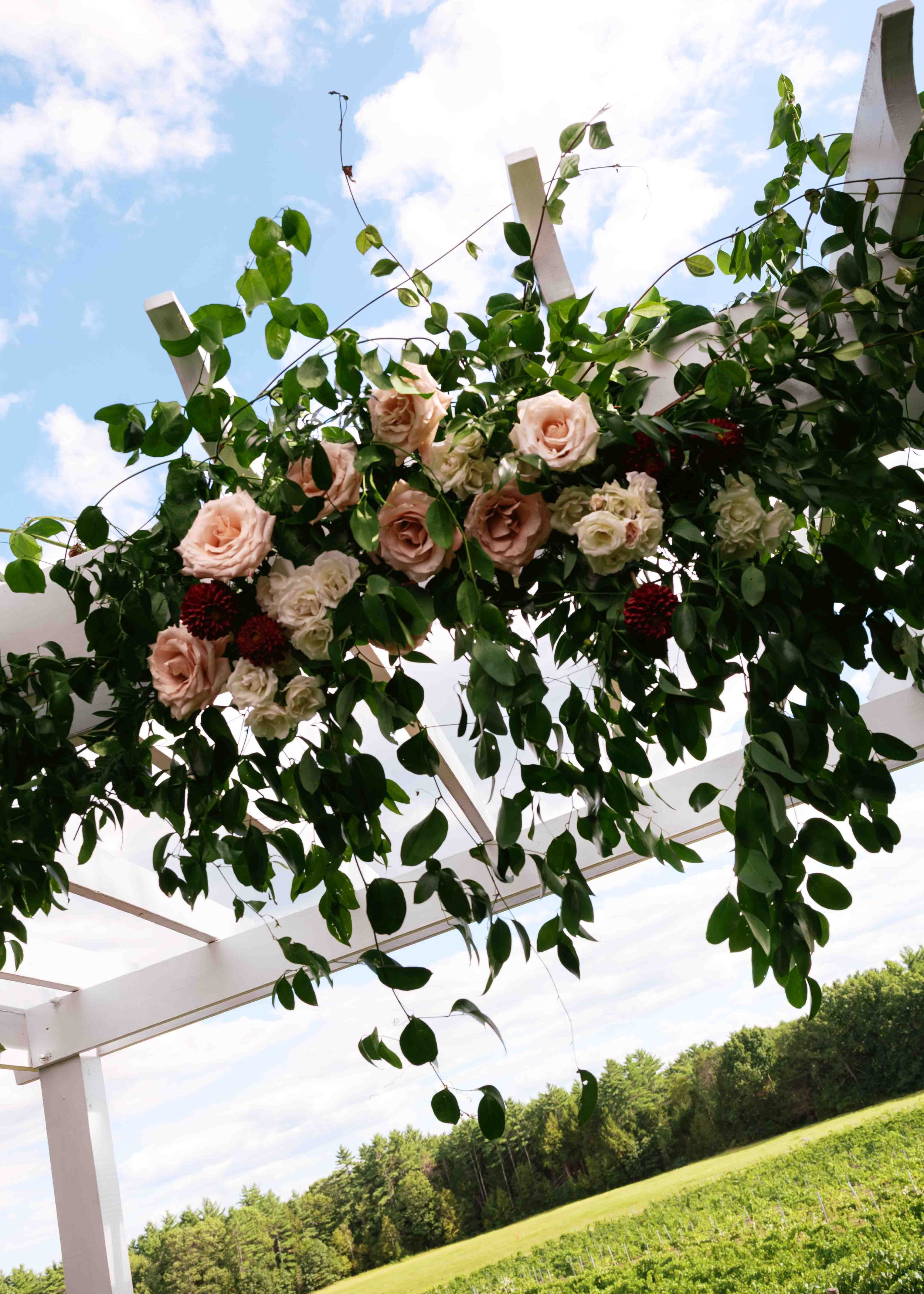 A white pergola decorated with pink roses and green foliage overlooks a grassy hillside on a sunny day.