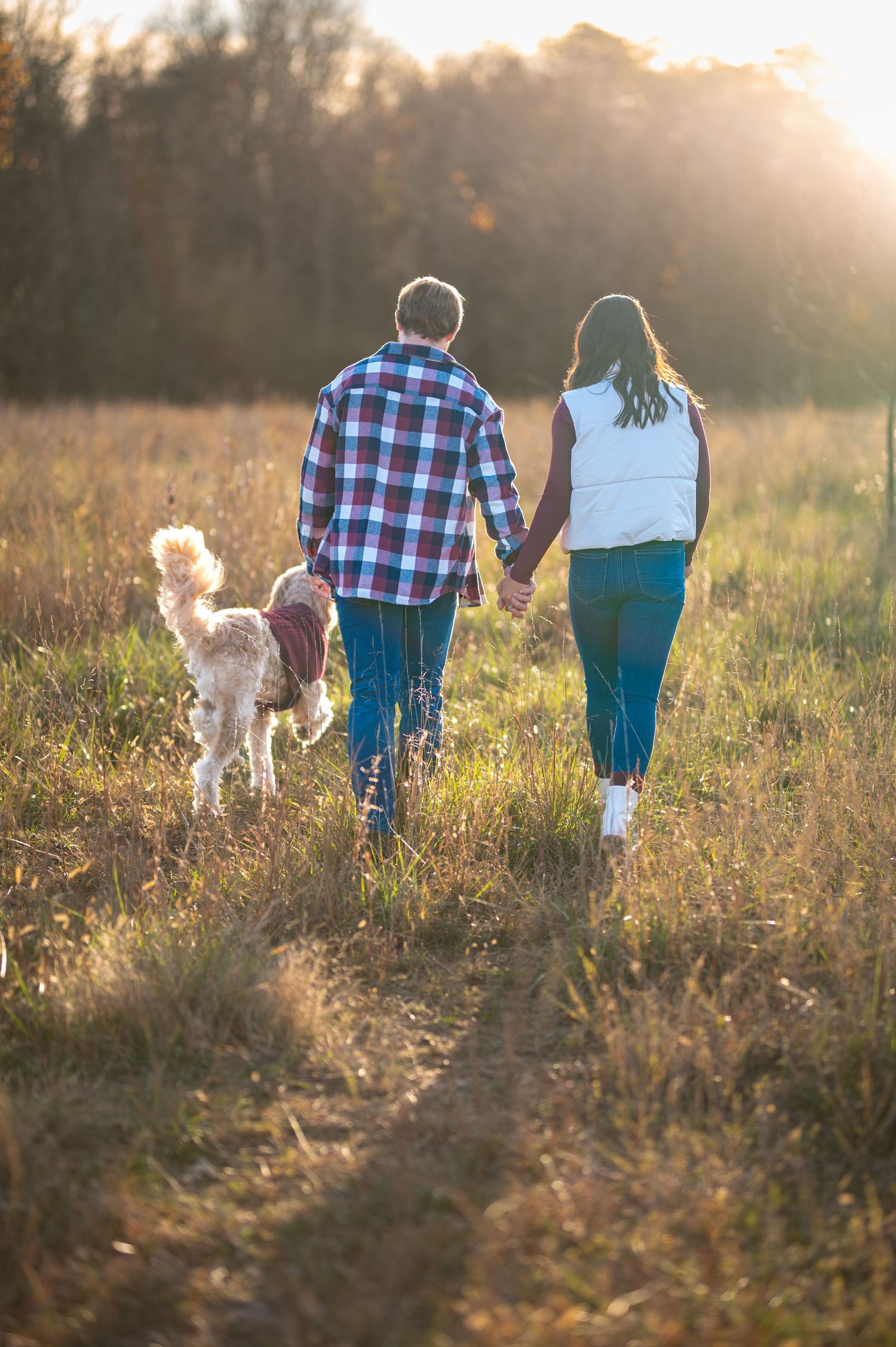A couple walks their dog through a sunlit meadow at golden hour.