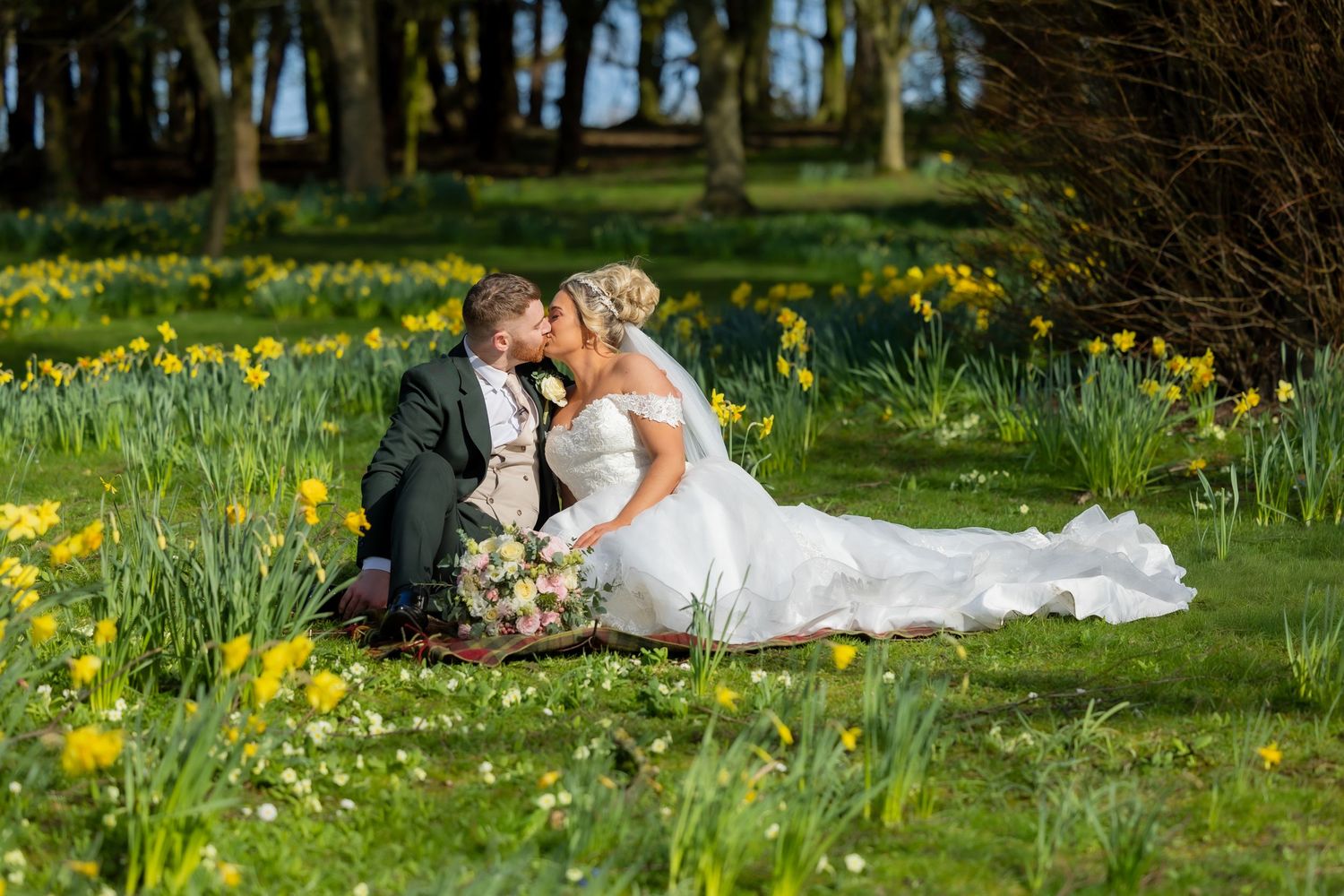 Bride and groom kissing in a field of yellow daffodils on their wedding day in spring. Casual Captures Wedding Hardwick Hall Hotel.