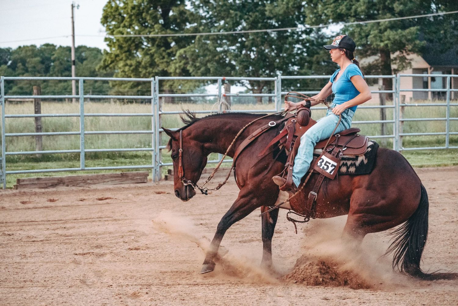 horse reining