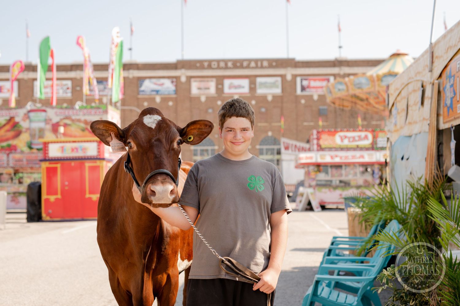 A brown show cow stands with their handler at a fairground with carnival rides in the background.