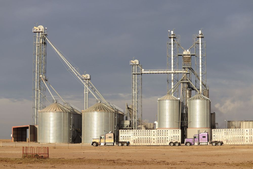 Large grain storage facility with metal silos and elevators against cloudy sky on rural panhandle.