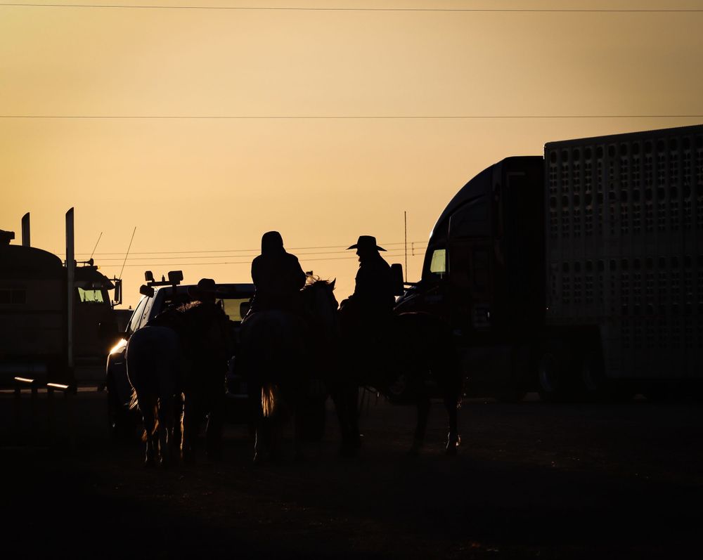 Silhouetted figures on horseback against a golden sunset sky with cattle haulers in the background.
