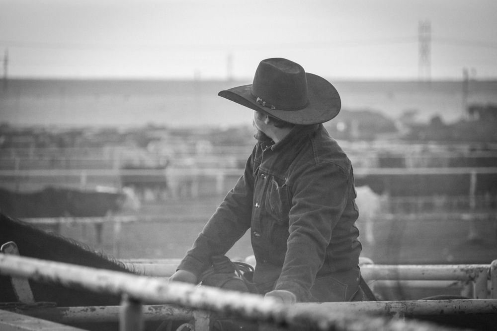 A cowboy in western attire leans against a fence at a feedlot while watching over cattle in a black and white photograph.