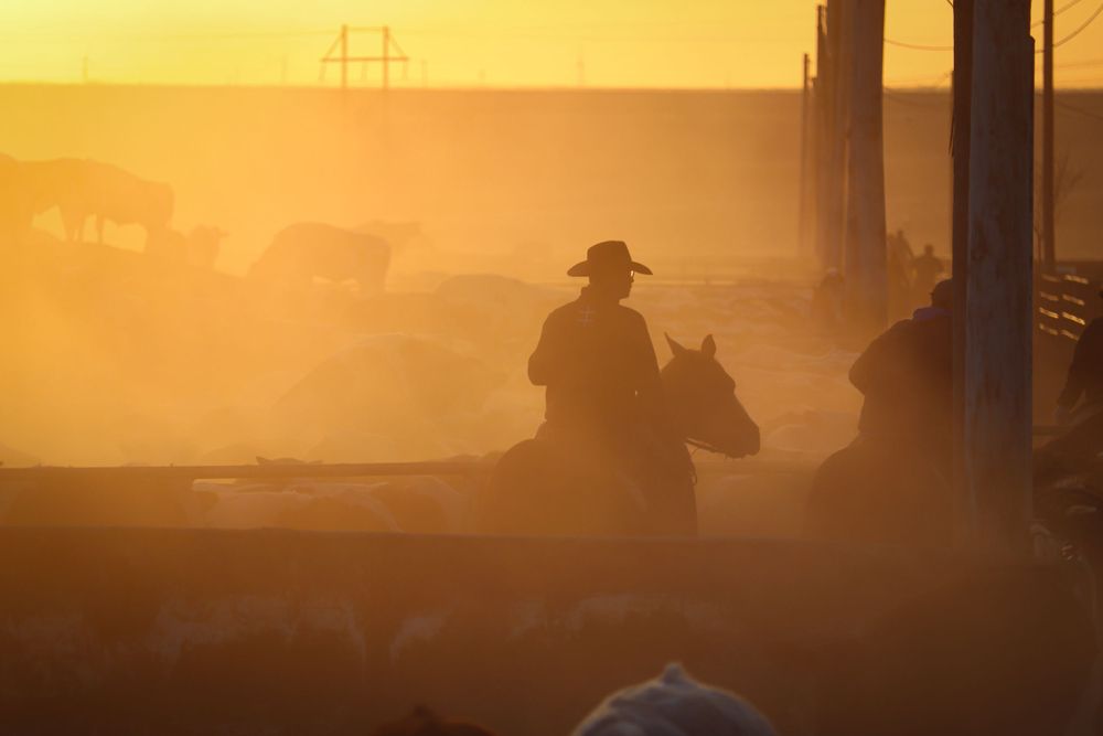 A silhouetted rider on horseback during a misty golden sunrise on a ranch with fence posts visible.
