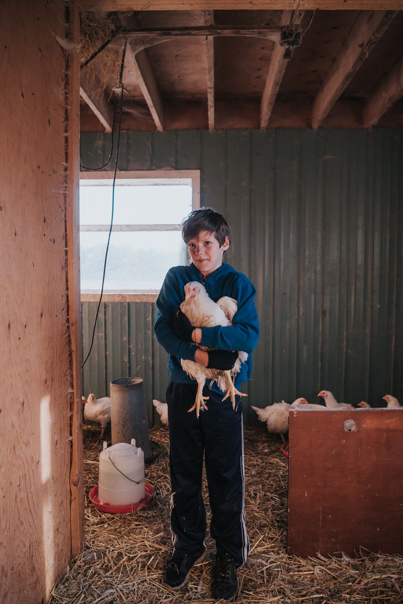 A tween boy holds a white chicken in his arms.