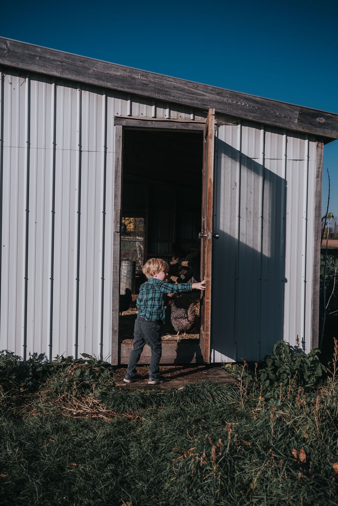 A young boy holds a small barn door open.