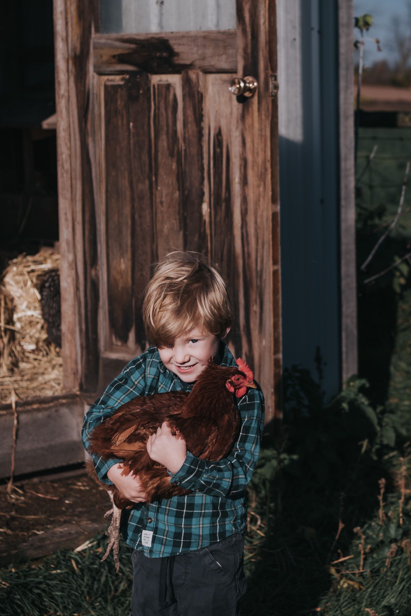 A young boy in a green plaid shirt holds a rusty coloured chicken.