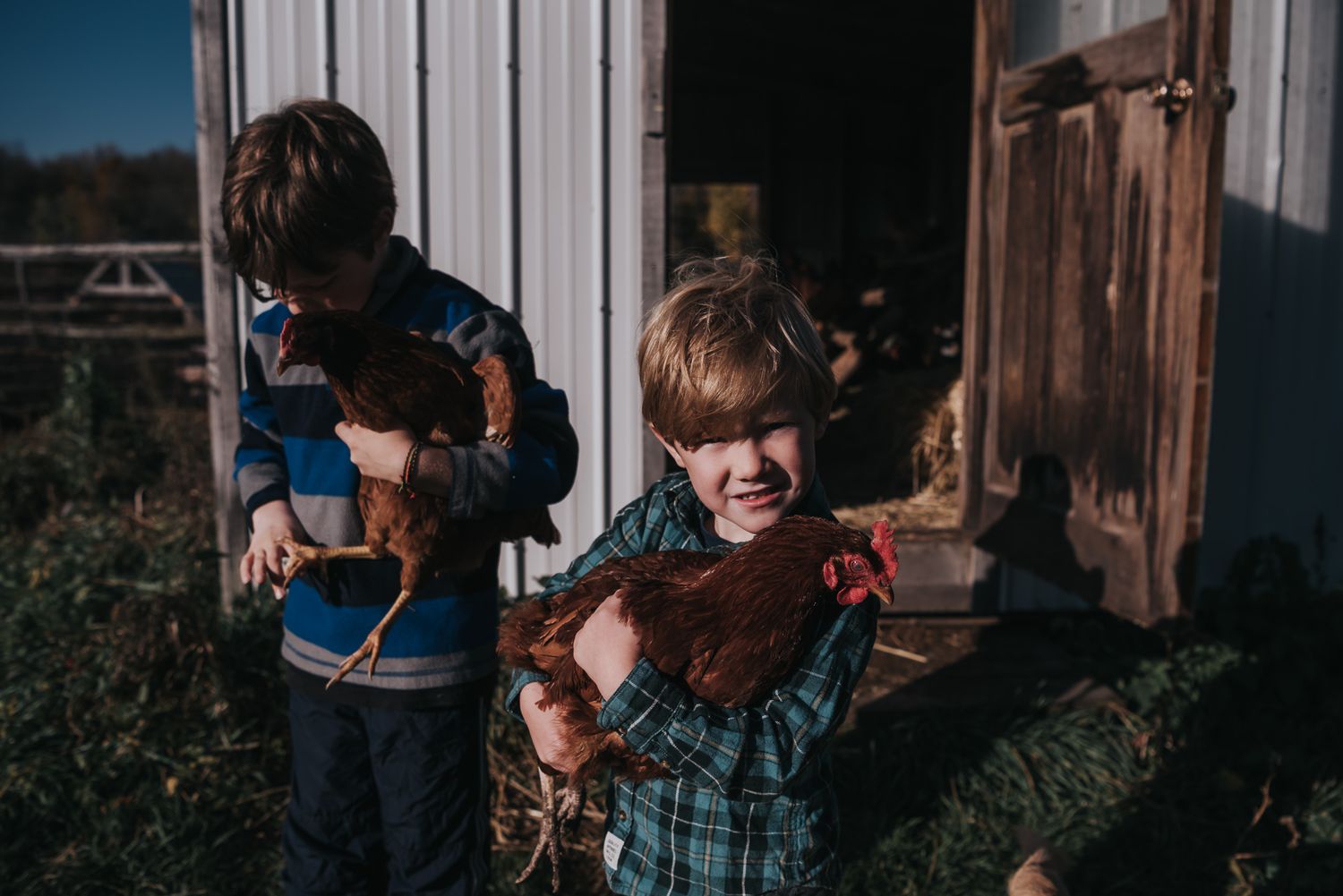 Brothers stand beside one another, each holding a chicken.