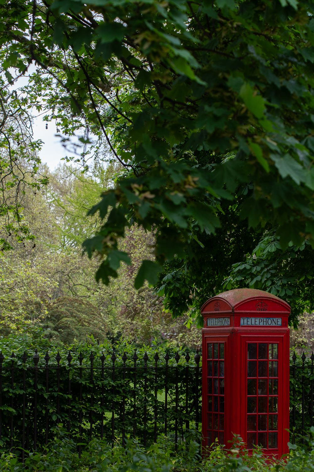 Iconic red British telephone booth nestled among green foliage in a garden setting.