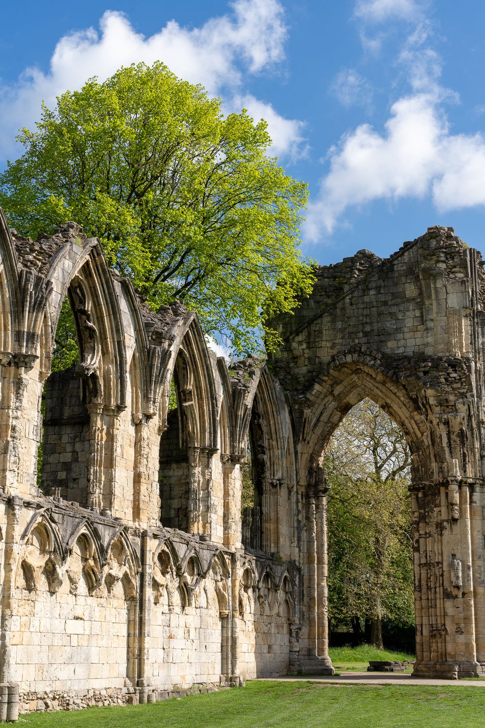 Ancient stone abbey ruins with Gothic arches stand against a bright blue sky with green foliage.
