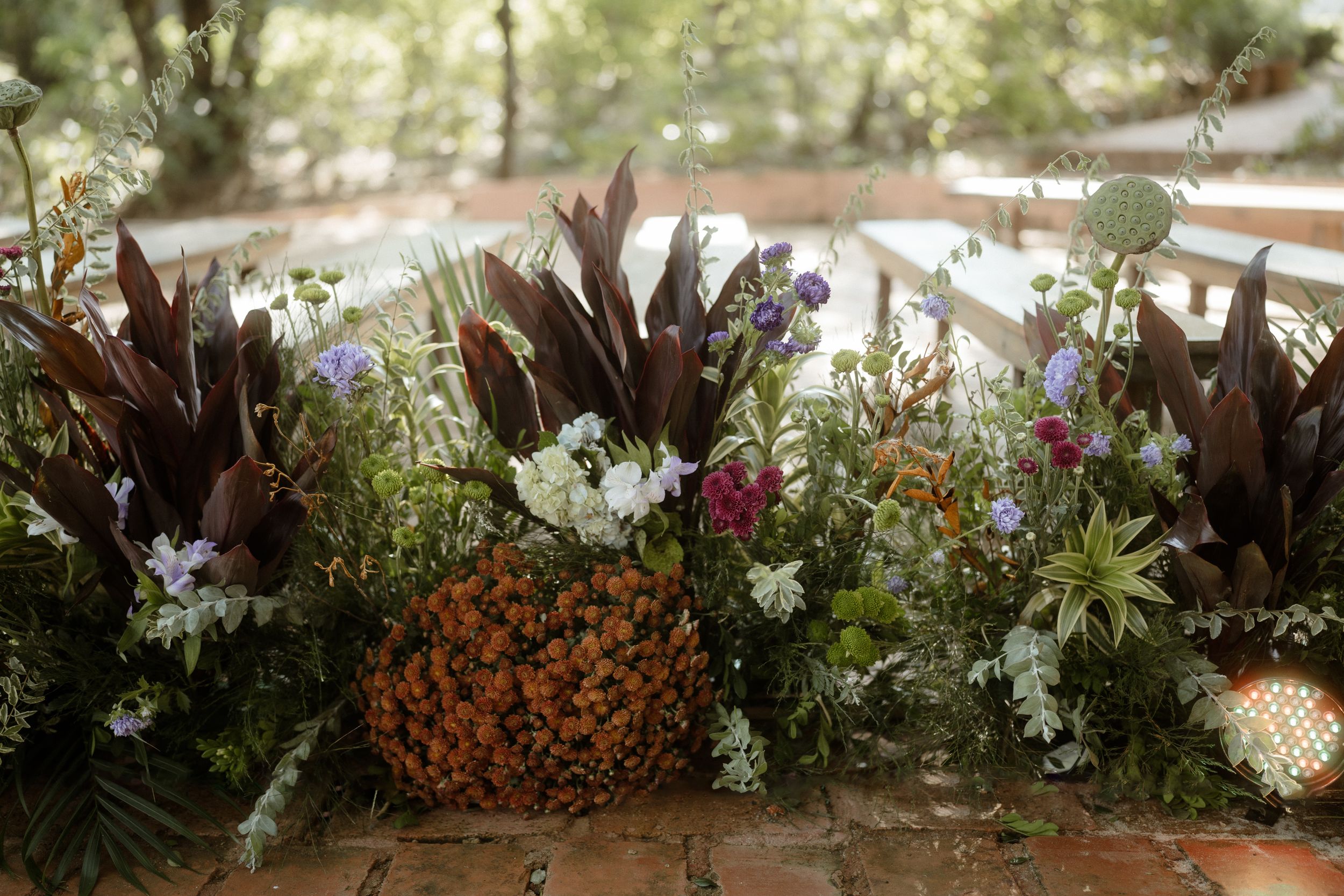 Garden border filled with colorful flowers and tropical plants in natural lighting.