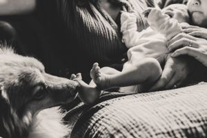 A black and white photo shows a family puppy nuzzling a newborn baby's toes while they are held by their parent.