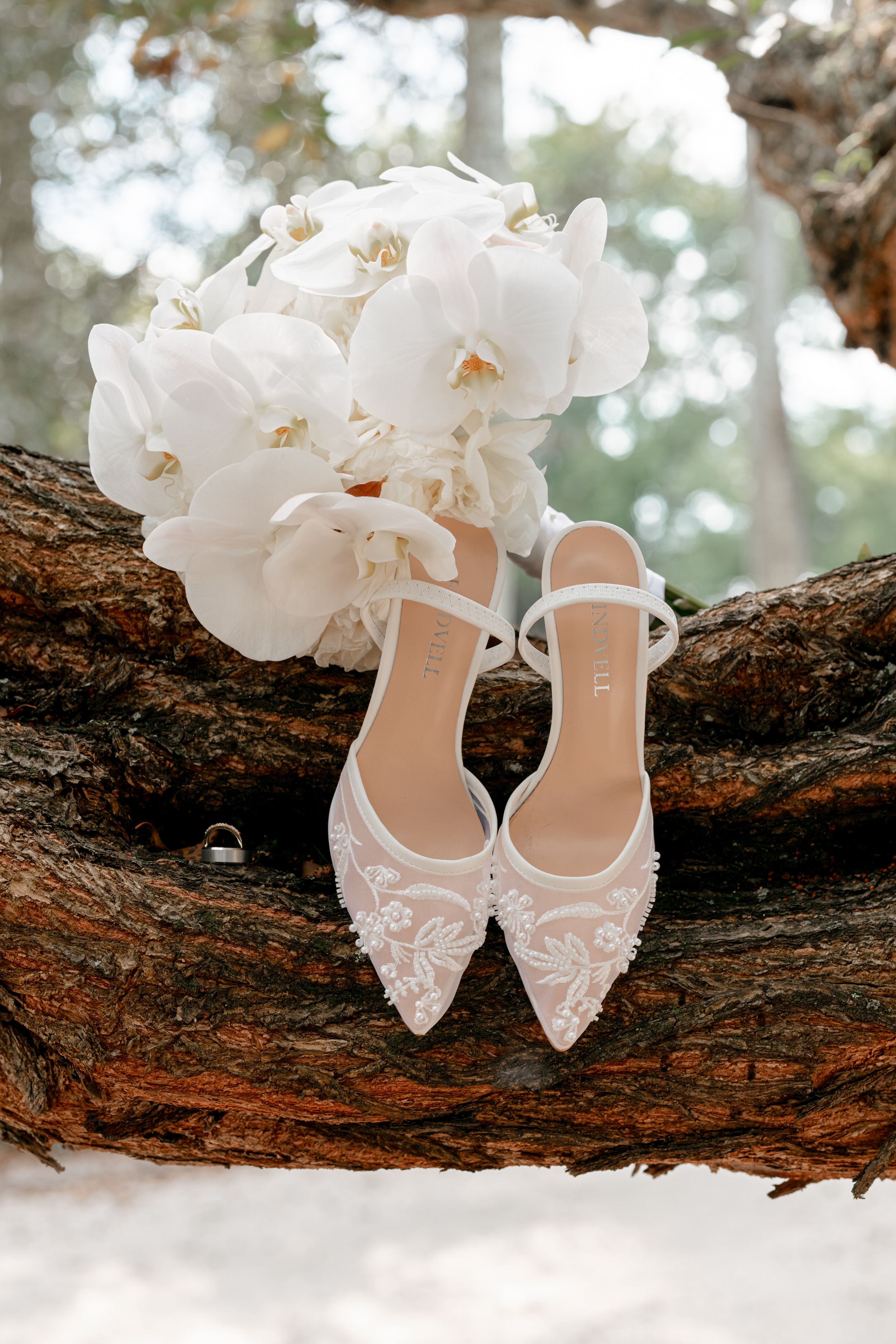 Elegant white bridal shoes with delicate lace details displayed on a tree branch next to white orchids.