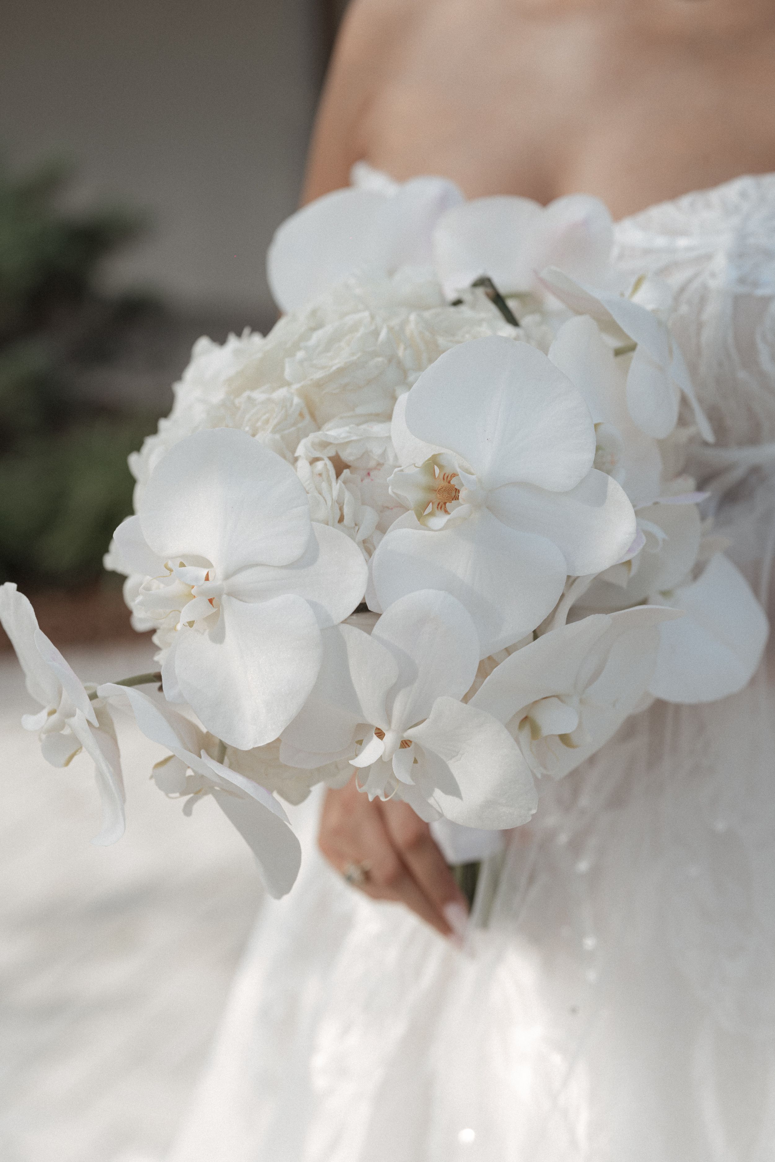 Elegant white orchids arranged in a cascading display with soft lighting.