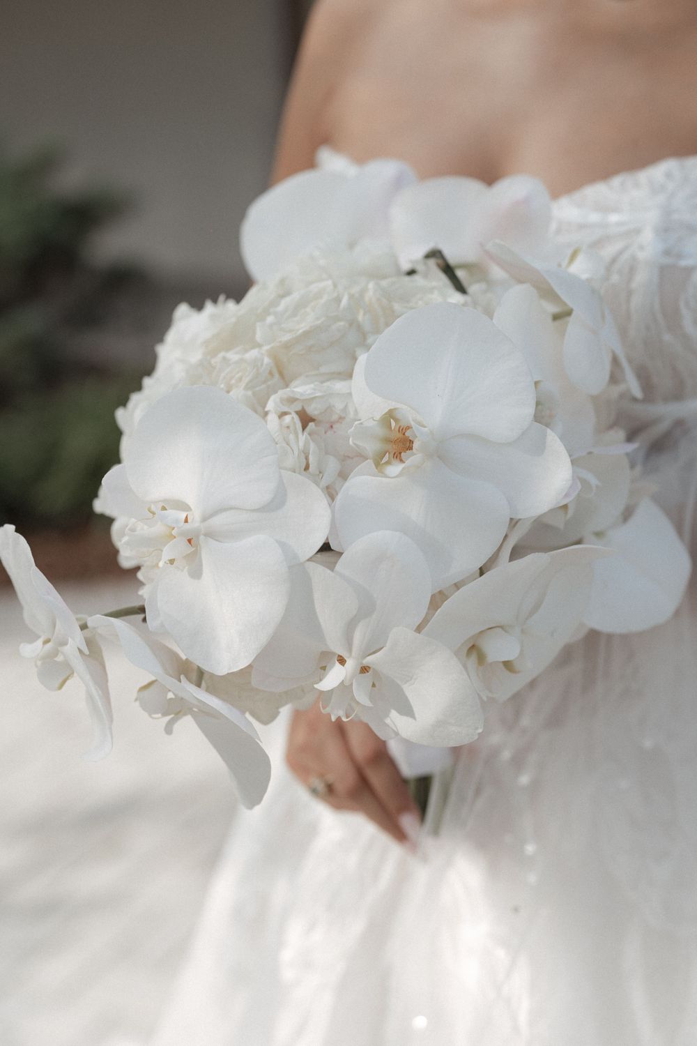 Elegant white orchids arranged in a cascading display with soft lighting.