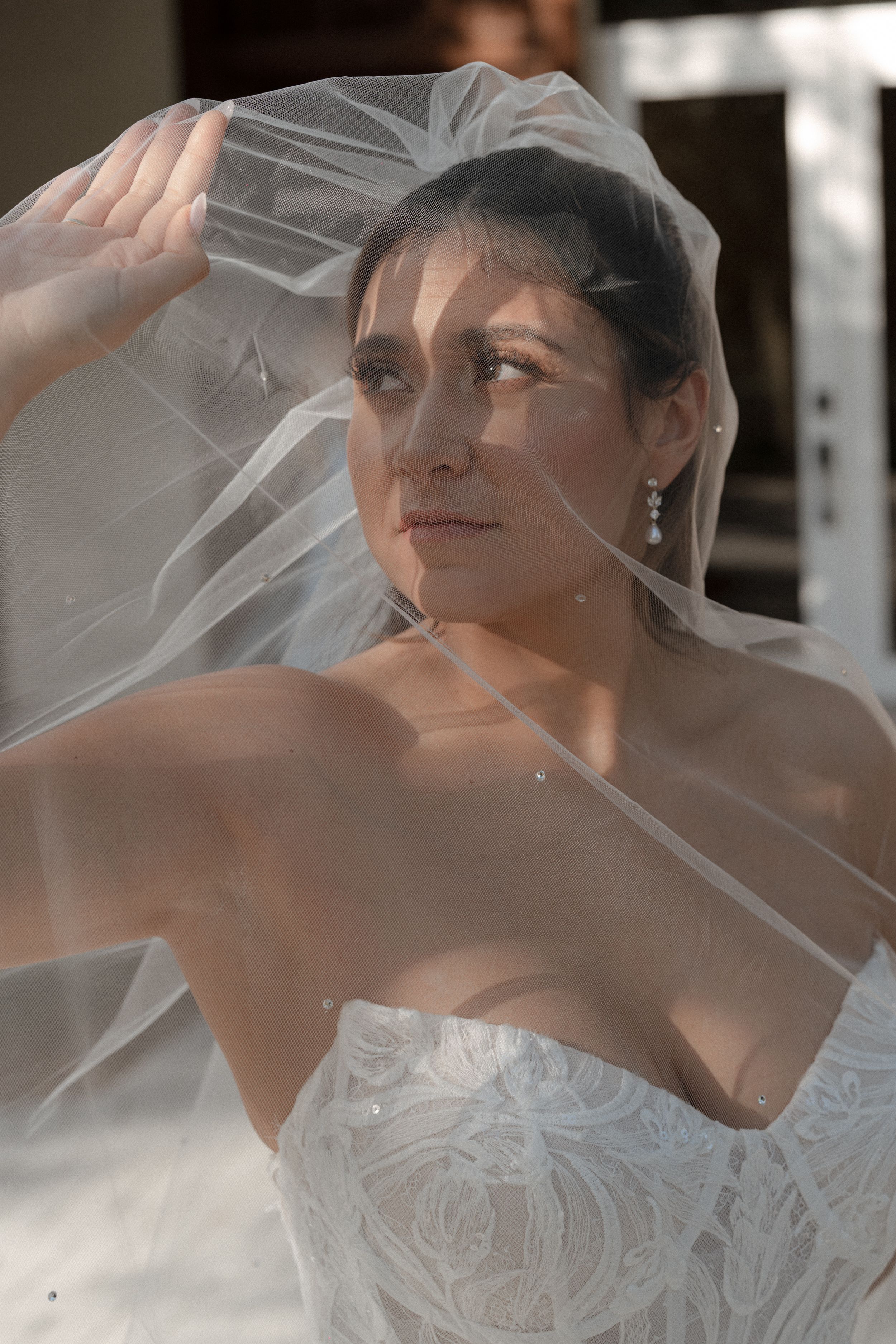 Elegant bridal portrait showing delicate lace dress and flowing white veil in soft natural light.