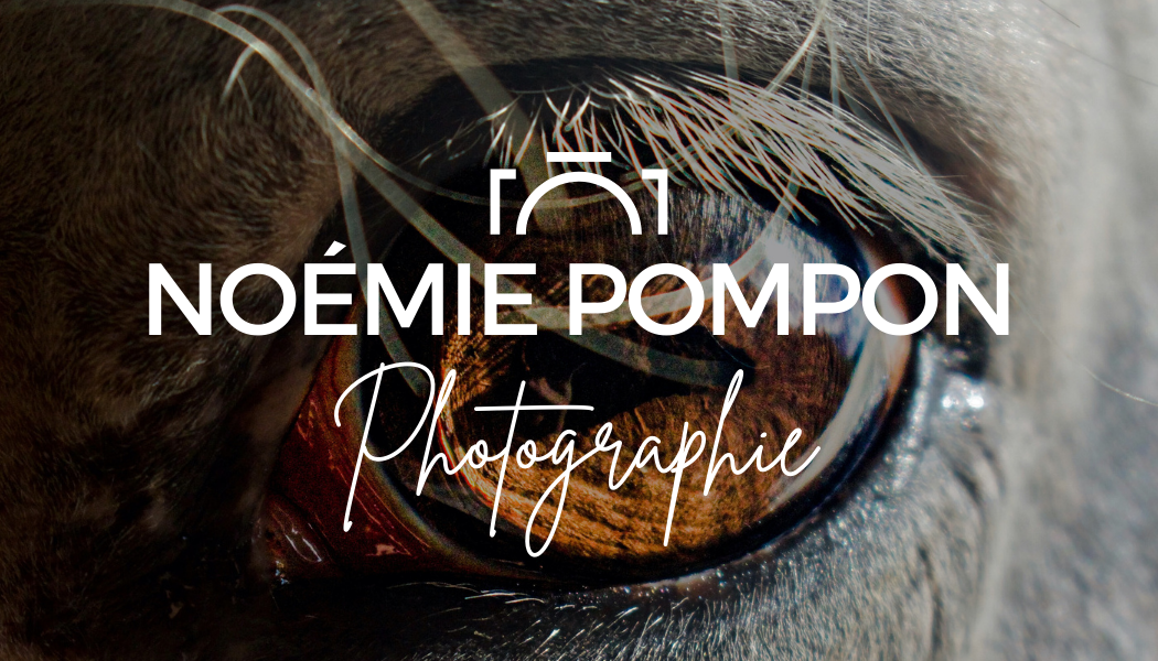 Logo de la photographe Noémie Pompon