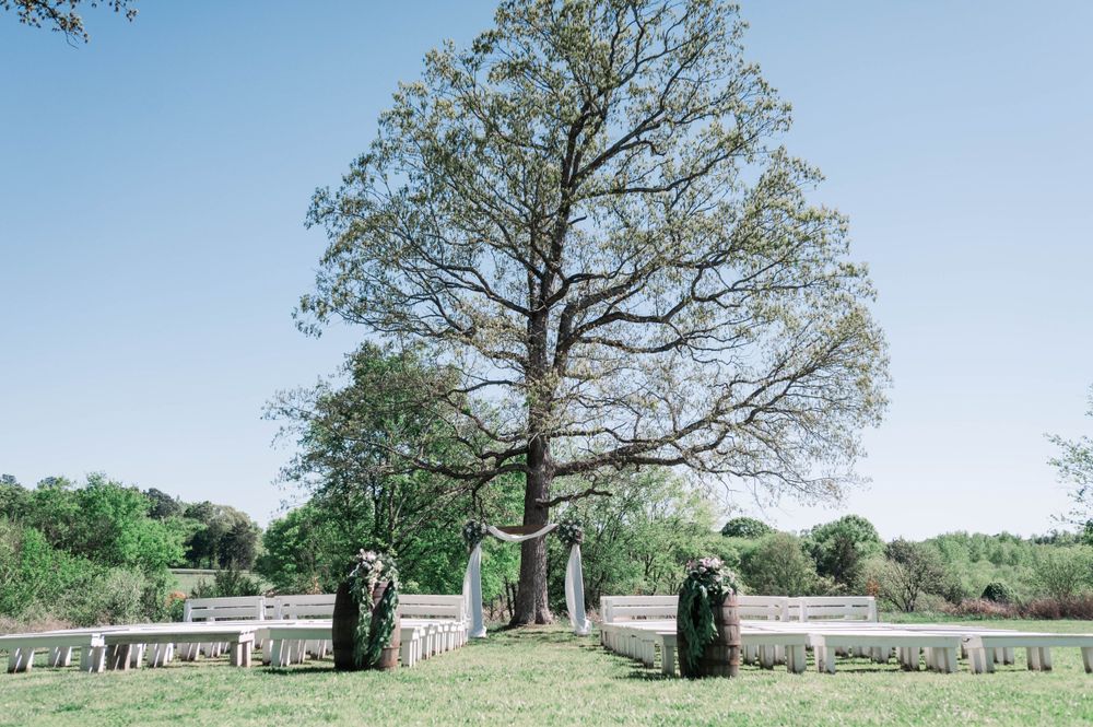 Wedding ceremony setup under a majestic oak tree with white chairs on a sunny day. The 1932 Barn Venue, Charlotte, NC