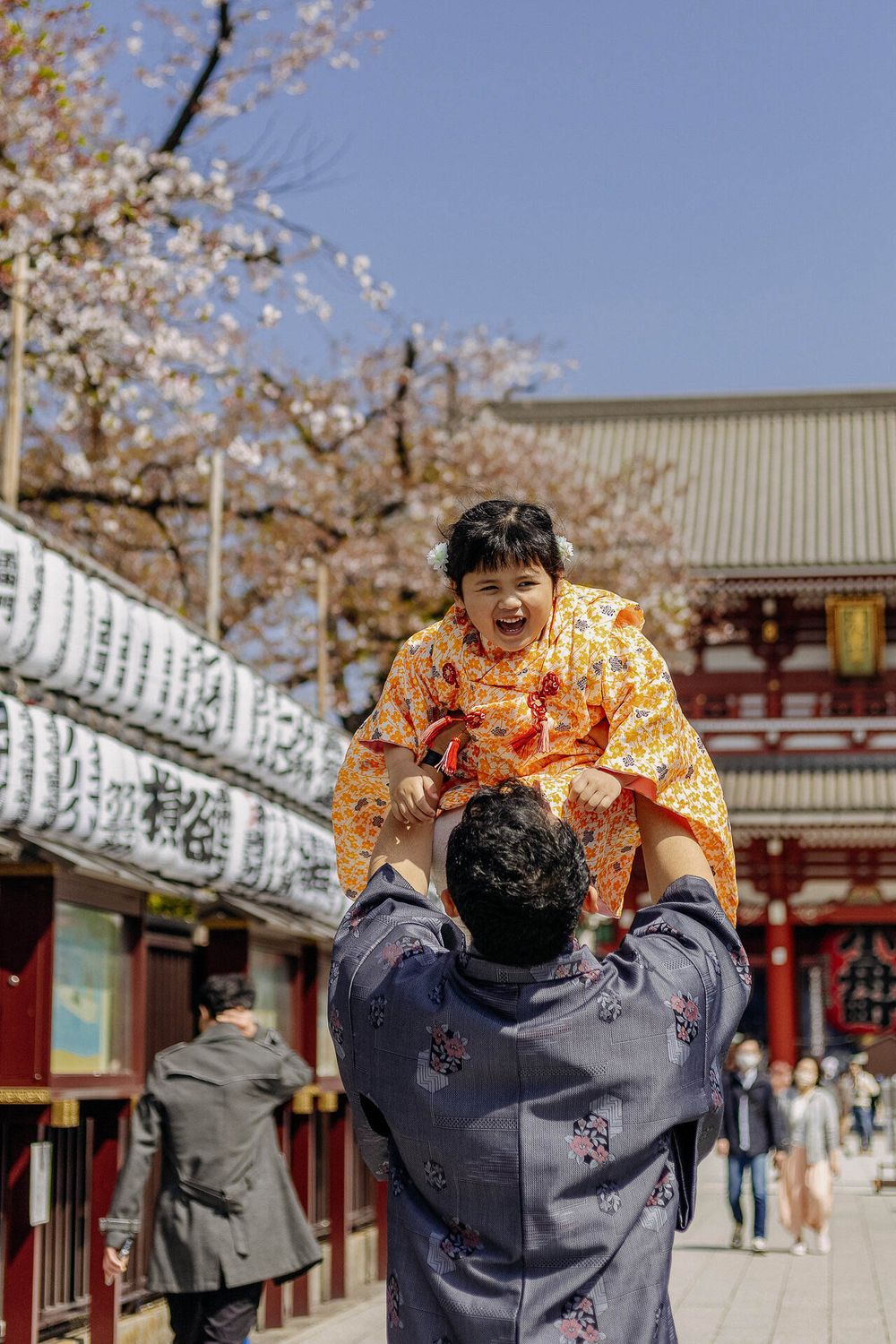 Playful scene at Japanese temple with cherry blossoms and traditional paper lanterns.