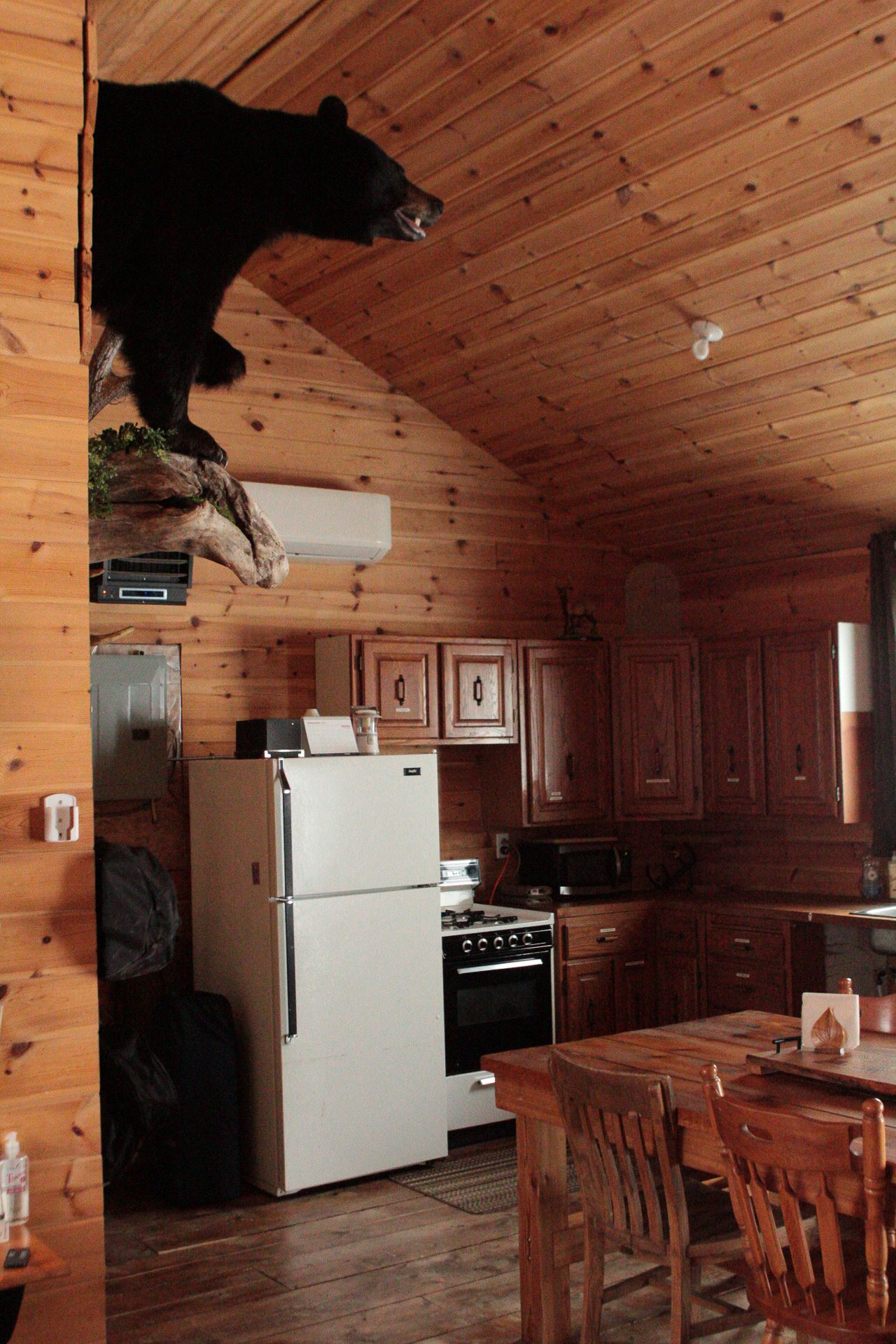 Interior of rustic log cabin kitchen with wood paneling and white appliances.