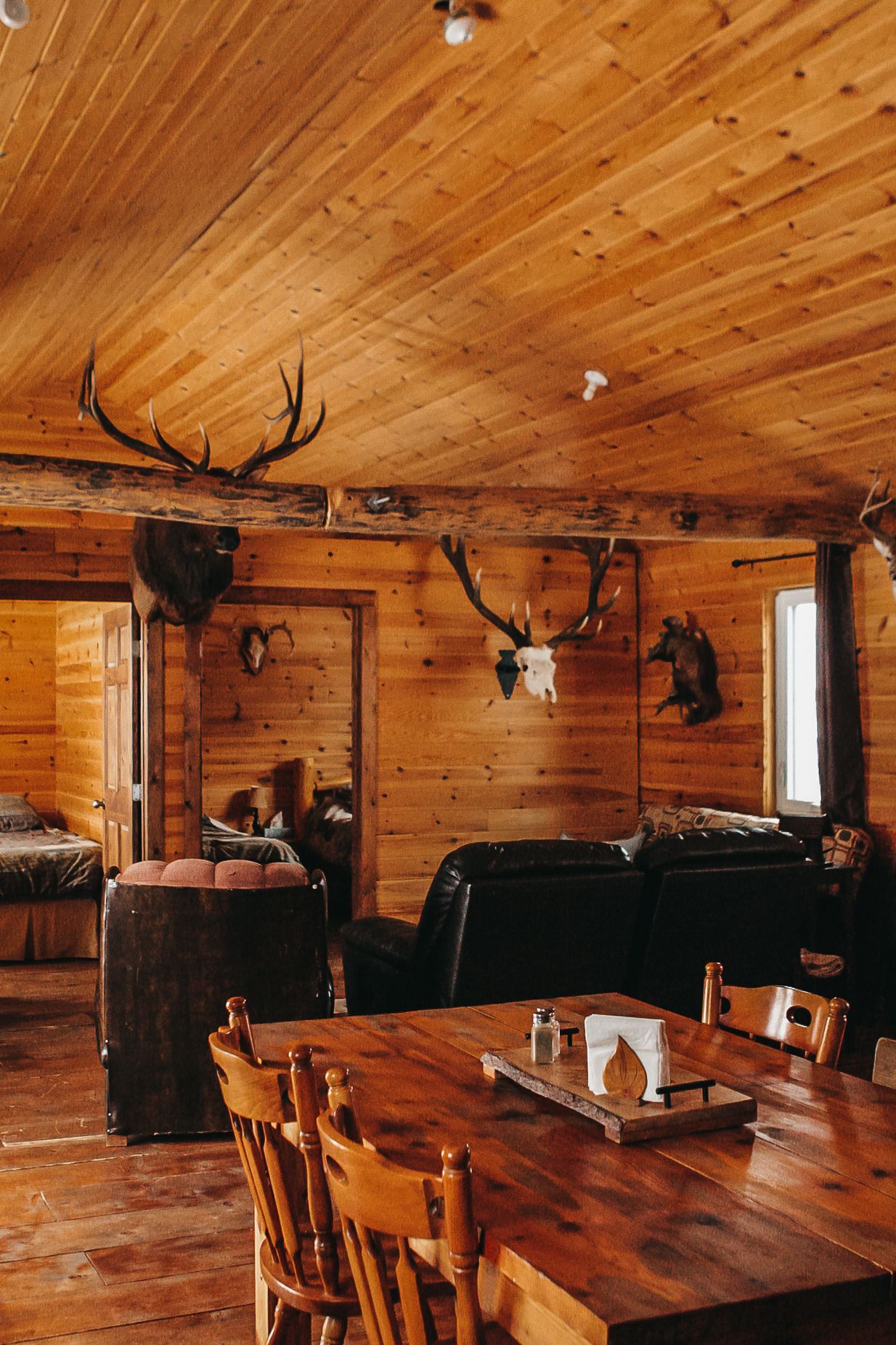 Rustic cabin interior with mounted deer antlers, wooden furniture, and log walls.