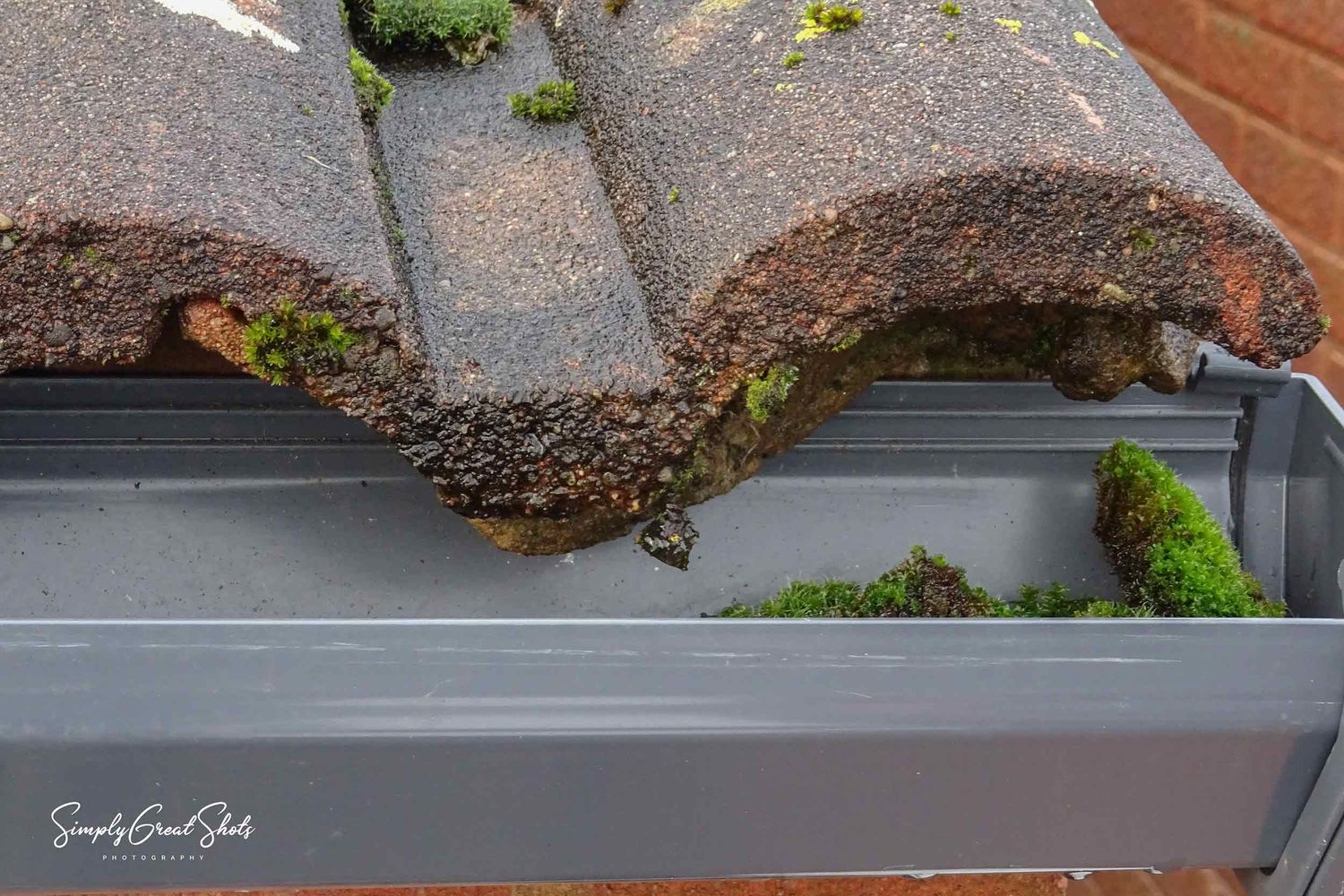 Close-up view of damaged asphalt roof tiles with moss growing along gutter line showing signs of wear and deterioration.