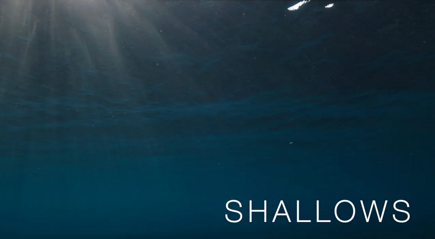 The word SHALLOWS appears underwater with light rays filtering through the surface.