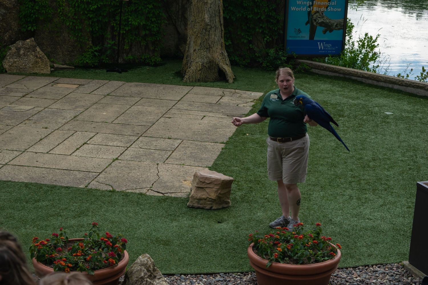 Person demonstrating falconry techniques in an outdoor garden setting.