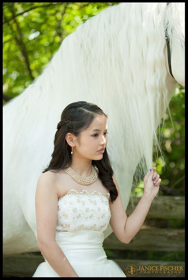 Young person and Lusitano Stalliion