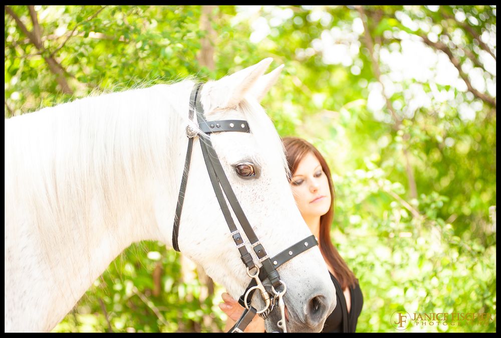 Horse and Rider Photograph Grayslake Illinois