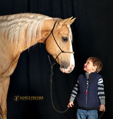 Young Child and Palomino Horse