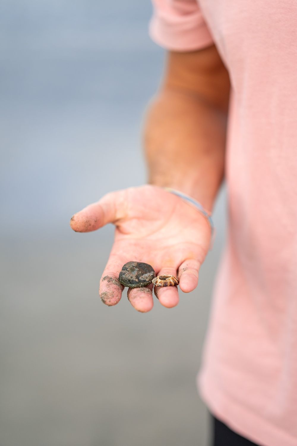 Hand holding a small crab on the beach.