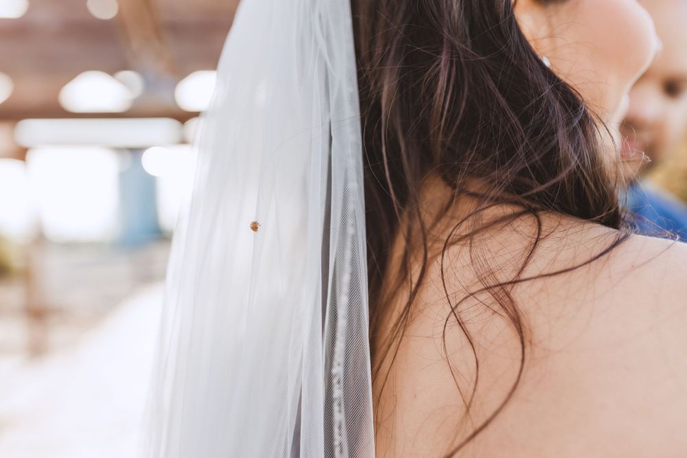 Close-up view of dark flowing hair and sheer white wedding veil against a softly blurred background.