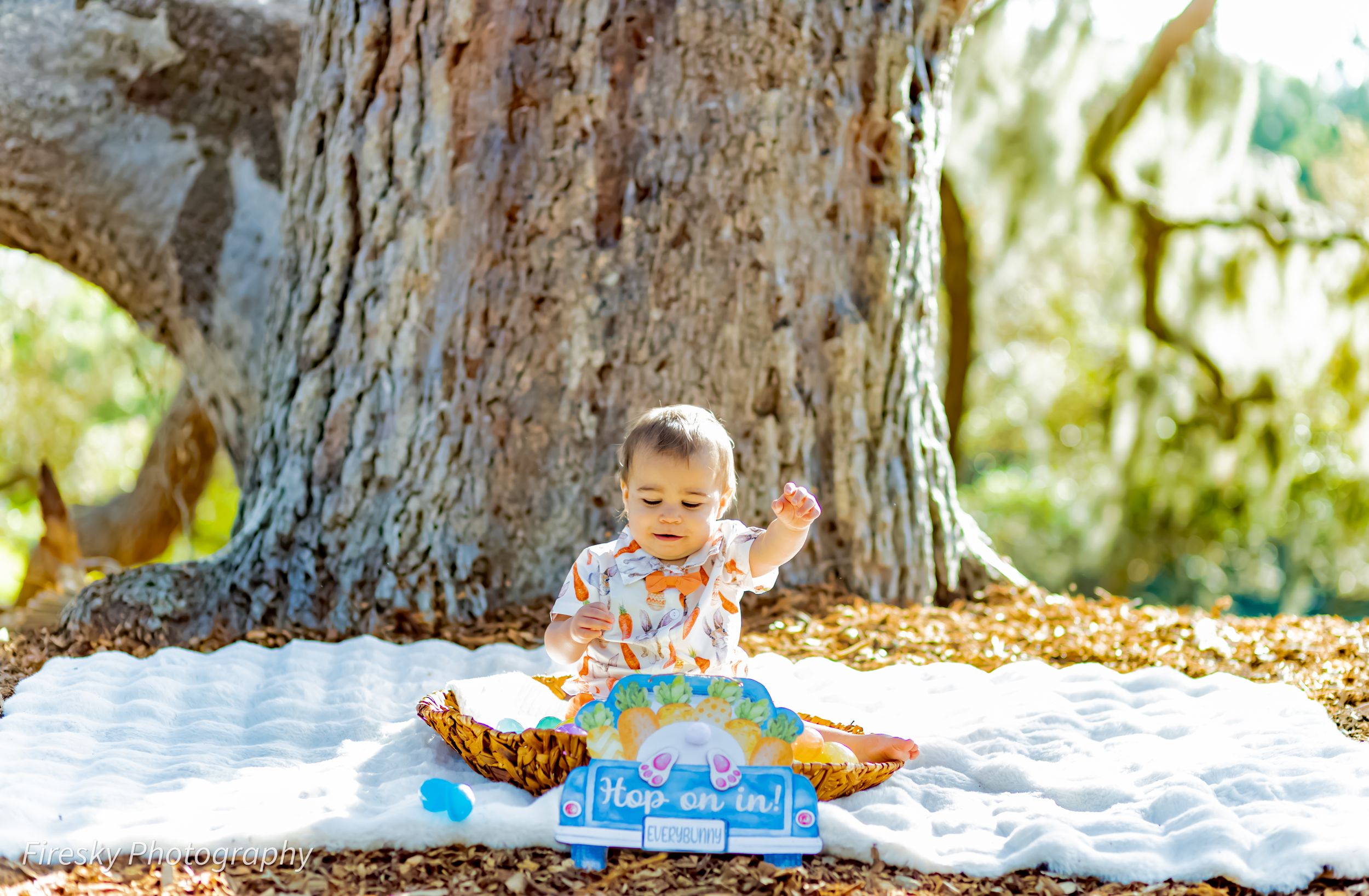 Baby sitting on white blanket by large tree trunk with birthday cake and decorations.