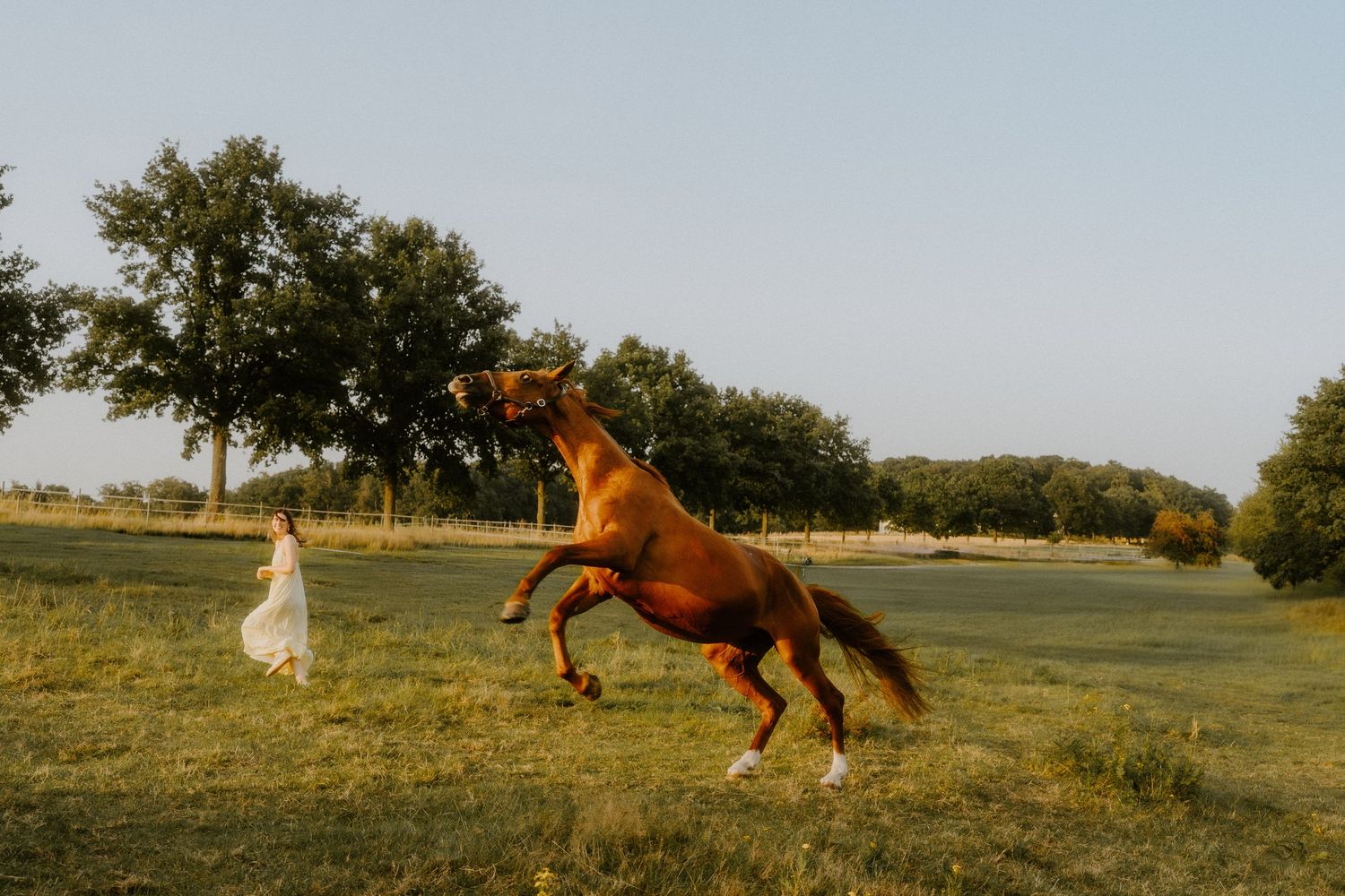 A brown horse and person in a hat share an intimate moment against a grey sky.