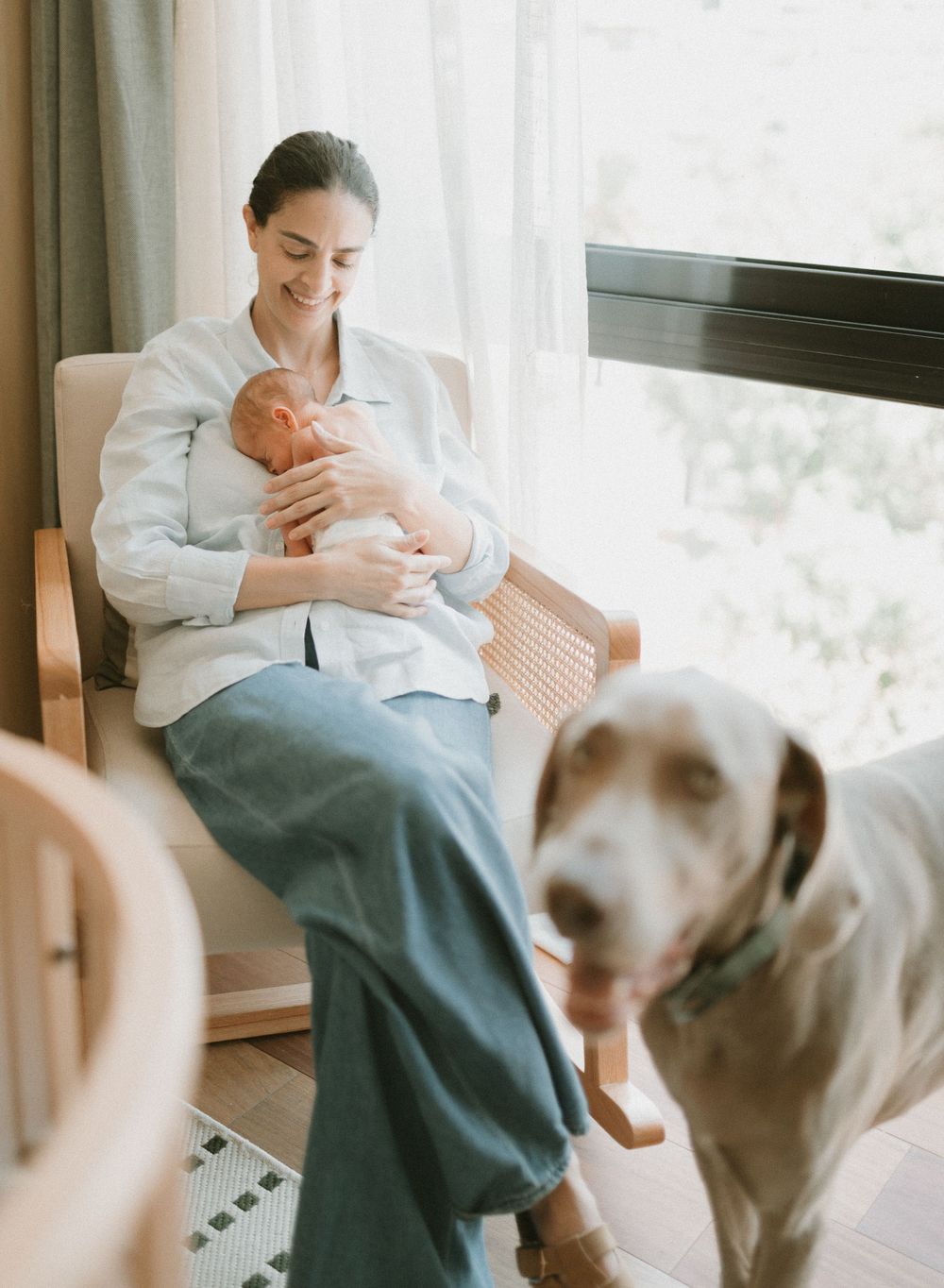 Parent holding newborn baby by window with family dog looking on.