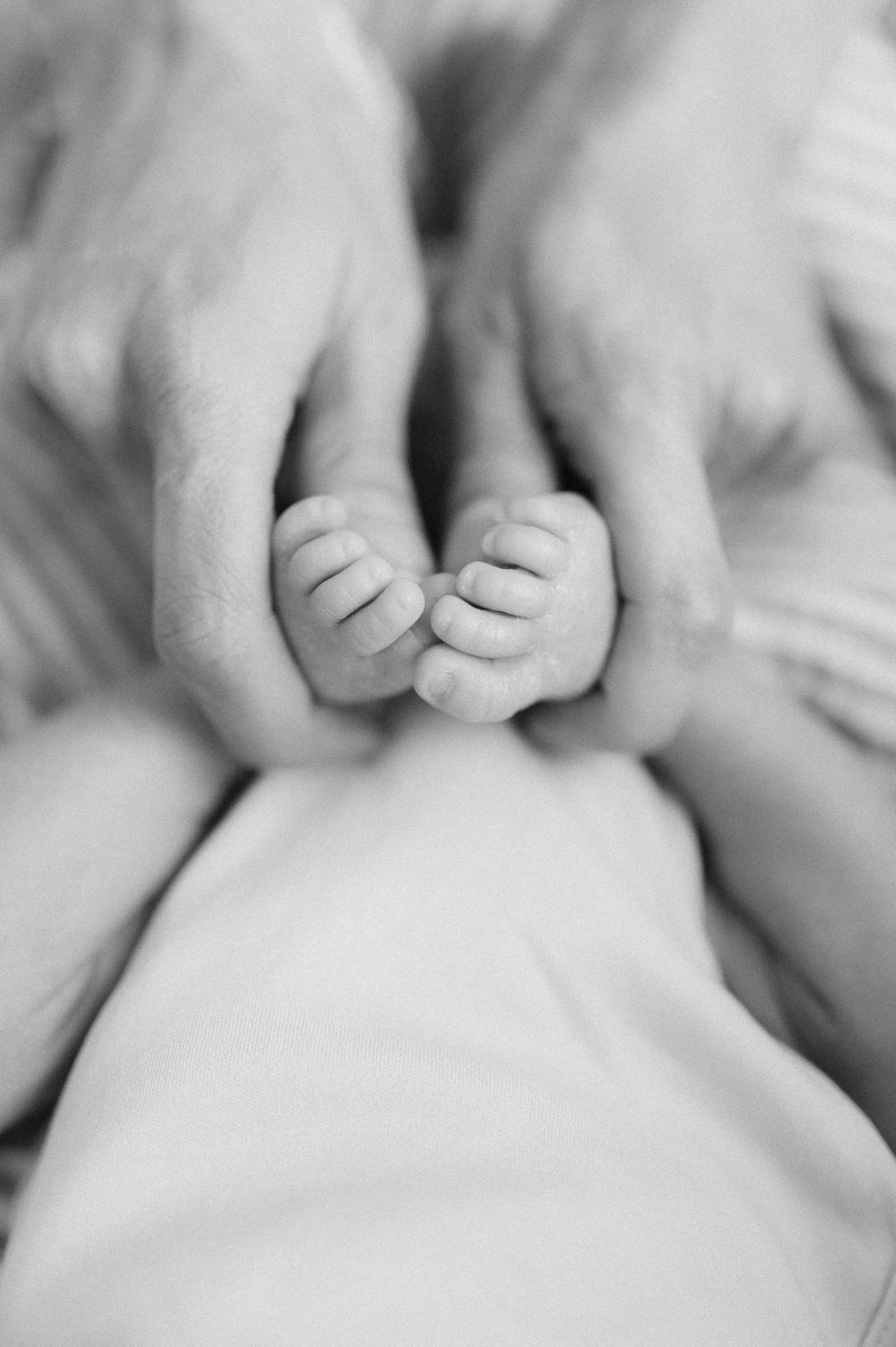 Black and white image of small baby fingers held in adult hands.
