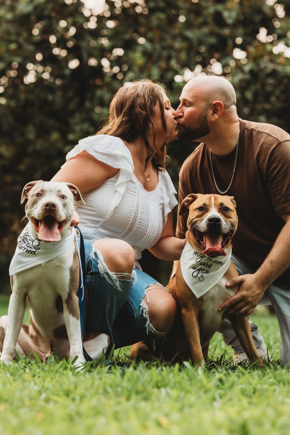 Couple kissing outdoors on grass with two happy pit bull dogs wearing bandanas beside them.