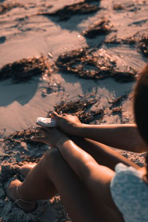 Classic Sunset photo taking in Virginia Beach focusing on the beach and shells