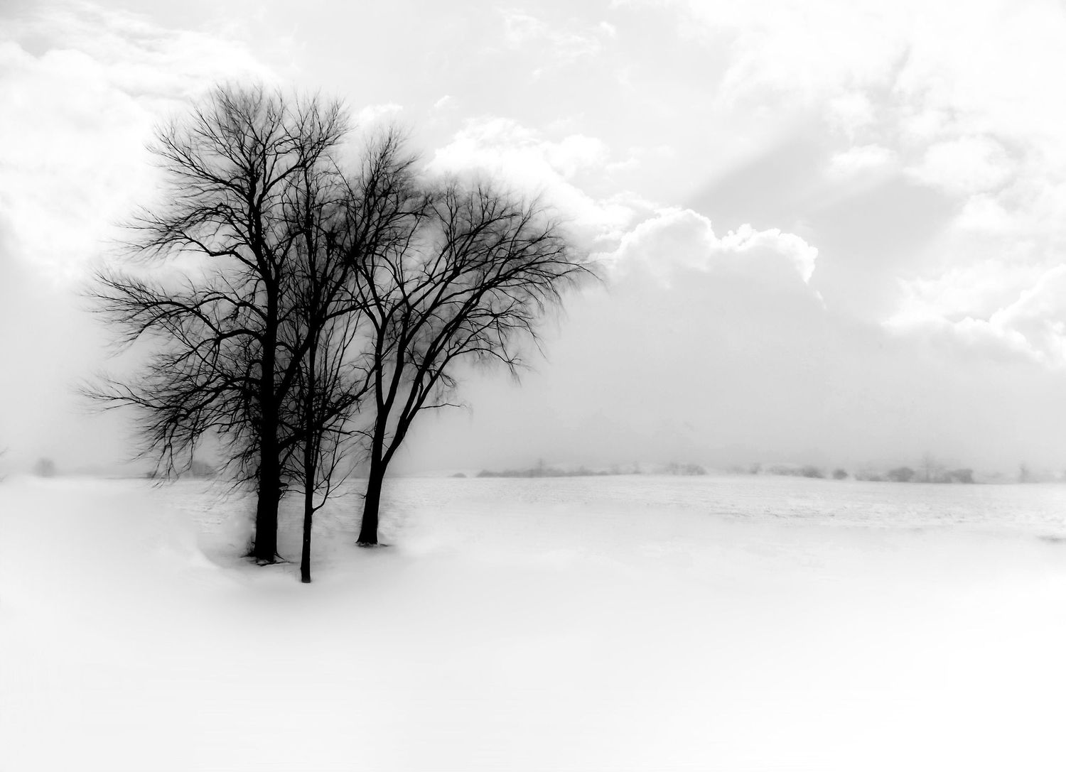 Winter Photography by Ravenbluff.com, j. Holbrook