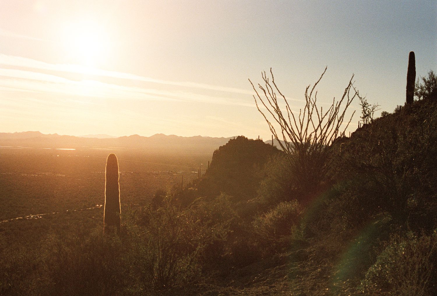 Golden sunset over desert mountains with silhouetted cacti in the foreground.