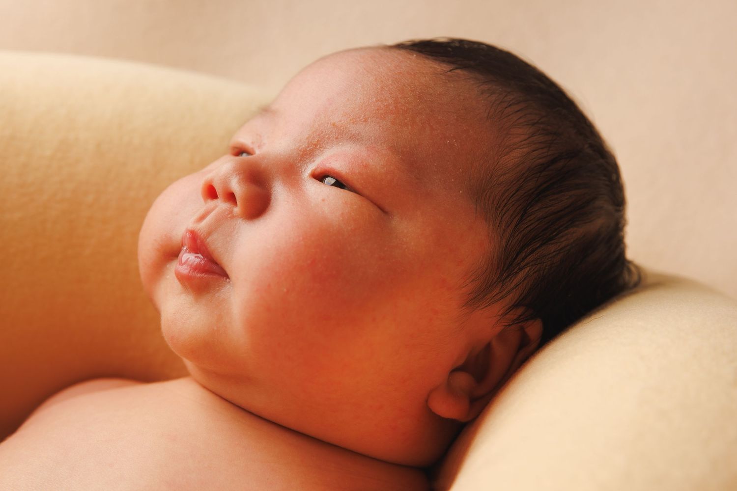 Family, Newborn, Maternity, Child Milestone photography 97074. Seattle, Sammamish, Redmond Kirkland Bellevue Washington