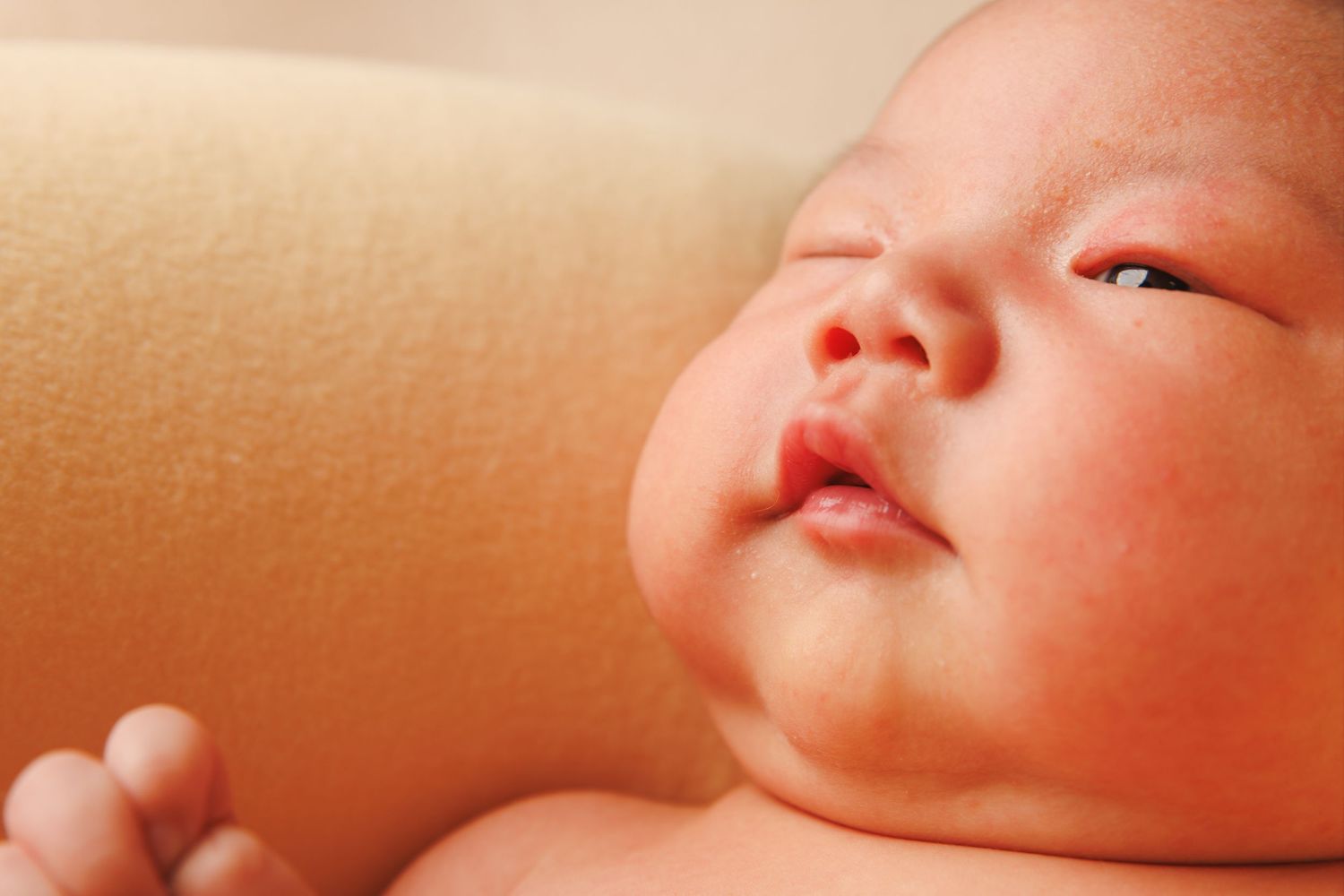 Family, Newborn, Maternity, Child Milestone photography 97074. Seattle, Sammamish, Redmond Kirkland Bellevue Washington